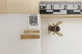 Media type: image;   Entomology 788372 Aspect: Labels